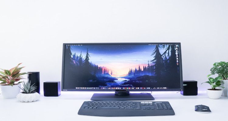 Monitor